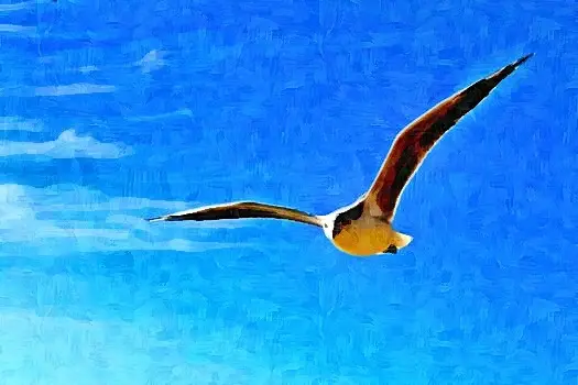 A gull flying across a vivid blue sky