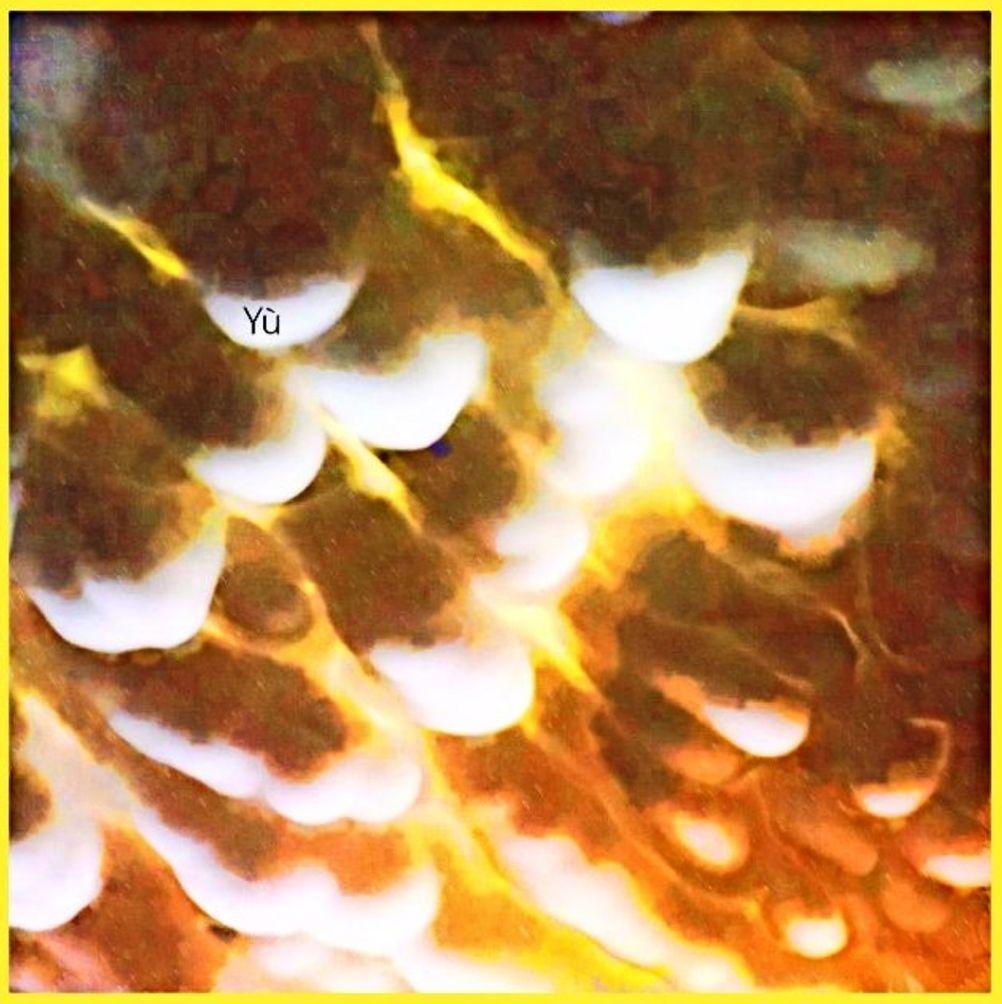 Yù album artwork
